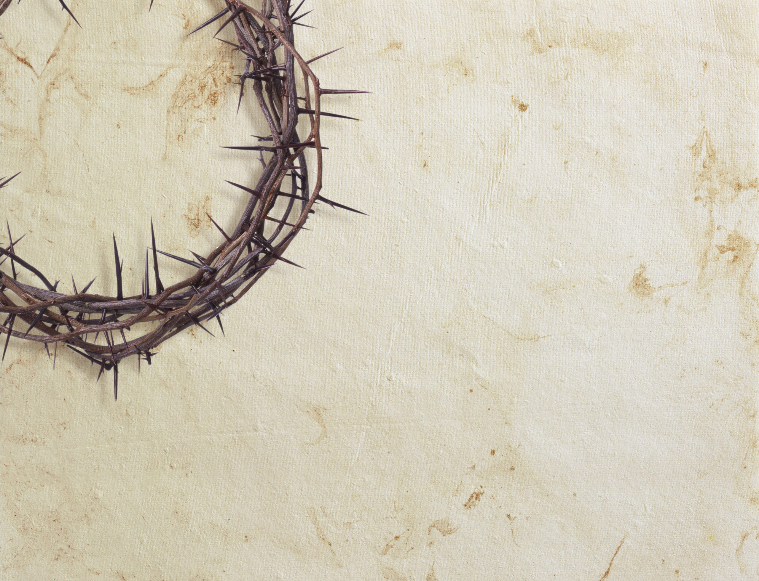 Encountering Jesus