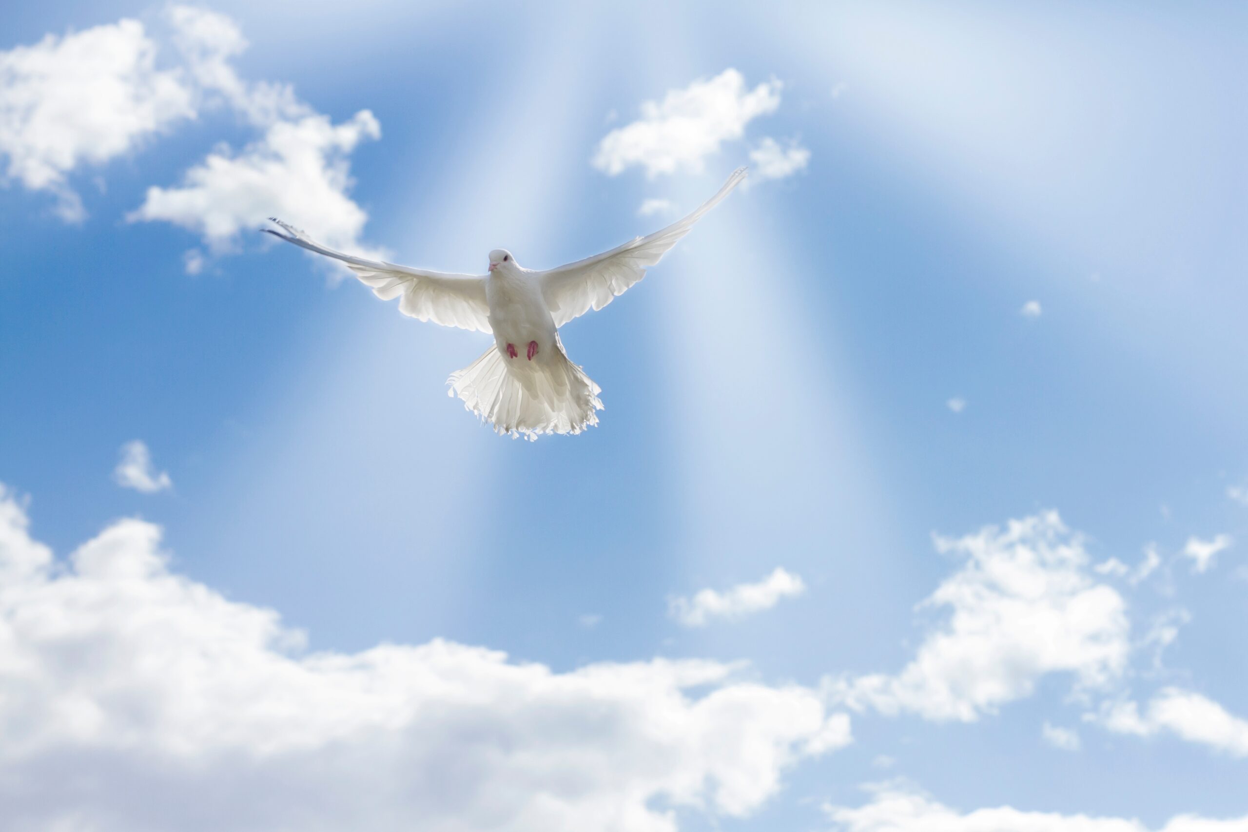 How Do I Know that the Holy Spirit is in me?