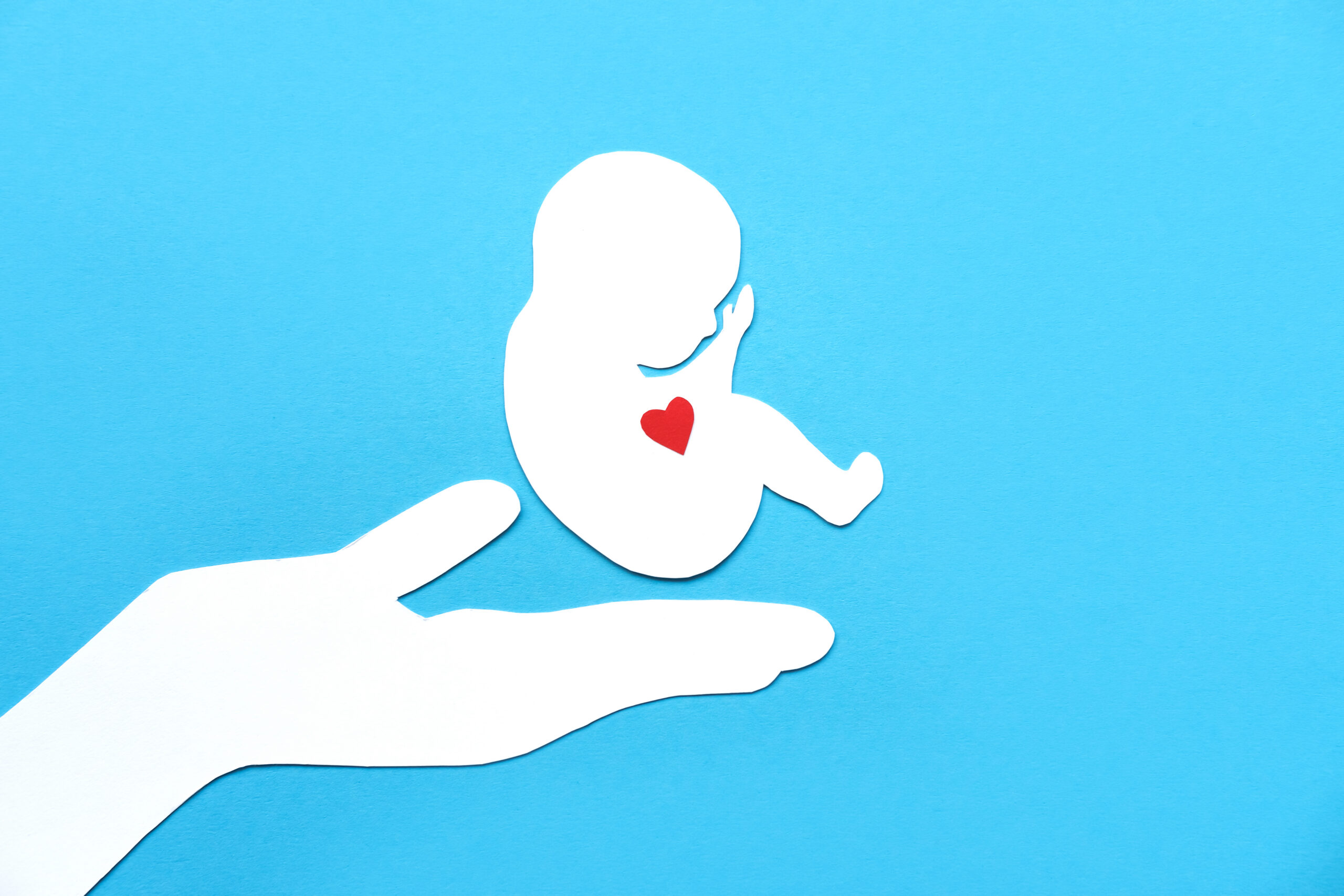 A Discussion on the Morality of Abortion