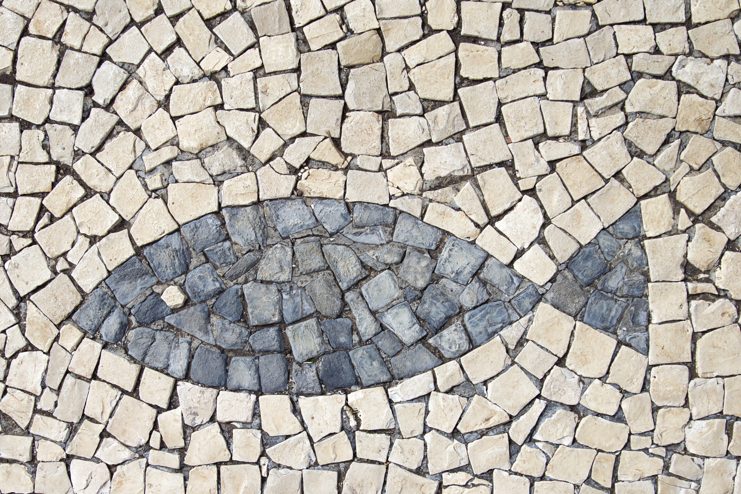 Christian Fish Symbol